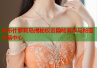 老布什萝莉岛揭秘权贵隐秘奢华与秘密交易中心