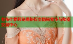 老布什萝莉岛揭秘权贵隐秘奢华与秘密交易中心