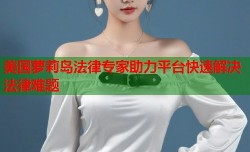 美国萝莉岛法律专家助力平台快速解决法律难题