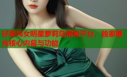 好莱坞女明星萝莉岛揭秘平台，独家曝光核心内幕与功能