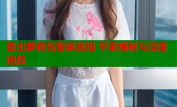 查出萝莉岛警察真相 平家揭秘与深度追踪