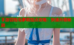 手游冒险岛萝莉加点攻略：快速升级秘籍
