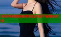 好莱坞明星揭秘萝莉岛内幕平家曝光功能