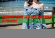 美国萝莉岛揭秘 易黑幕与访客数据泄露内幕揭秘