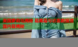 美国萝莉岛揭秘 易黑幕与访客数据泄露内幕揭秘