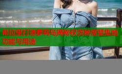 希拉里打造萝莉岛揭秘权贵秘密聚集地功能与用途