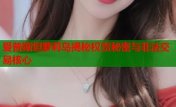 爱普斯坦萝莉岛揭秘权贵秘密与非法交易核心