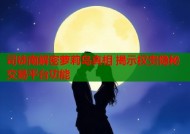 司徒南解密萝莉岛真相 揭示权贵隐秘交易平台功能