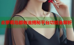 去萝莉岛都有谁揭秘平台功能全解析