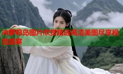 冲萝莉岛图片欣赏精选高清美图尽享视觉盛宴