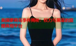 美国萝莉岛事件揭秘：权力与黑幕的震撼真相平台