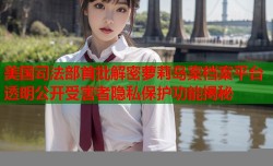 美国司法部首批解密萝莉岛案档案平台 透明公开受害者隐私保护功能揭秘