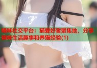 喵咪社交平台：猫爱好者聚集地，分享猫咪生活趣事和养猫经验(1)
