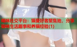 喵咪社交平台：猫爱好者聚集地，分享猫咪生活趣事和养猫经验(1)