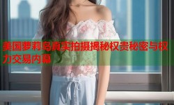 美国萝莉岛真实拍摄揭秘权贵秘密与权力交易内幕