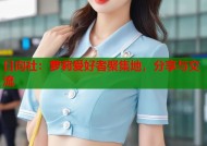 日向社：萝莉爱好者聚集地，分享与交流