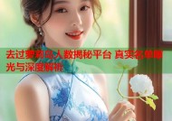去过萝莉岛人数揭秘平台 真实名单曝光与深度解析