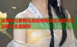 克林顿与萝莉岛真相揭秘访岛次数与背后秘密全面解析