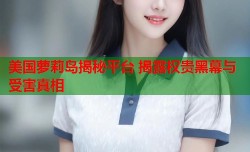 美国萝莉岛揭秘平台 揭露权贵黑幕与受害真相