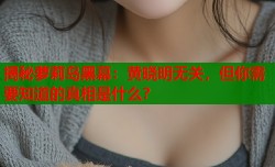 揭秘萝莉岛黑幕：黄晓明无关，但你需要知道的真相是什么？