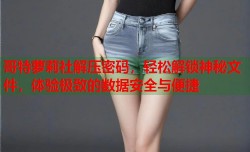 哥特萝莉社解压密码，轻松解锁神秘文件，体验极致的数据安全与便捷