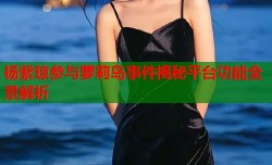 杨紫琼参与萝莉岛事件揭秘平台功能全景解析