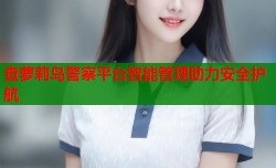 查萝莉岛警察平台智能管理助力安全护航