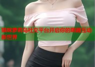 猫咪萝莉岛社交平台开启你的萌趣互动新世界