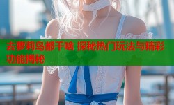 去萝莉岛都干啥 探秘热门玩法与精彩功能揭秘