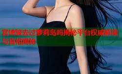 宫崎骏去过萝莉岛吗揭秘平台权威解读与真相揭秘