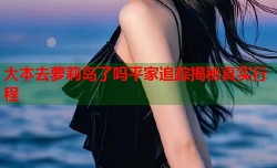 大本去萝莉岛了吗平家追踪揭秘真实行程