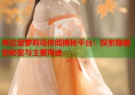 希拉里萝莉岛传闻揭秘平台：探索隐藏的秘密与主要用途