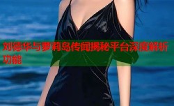 刘德华与萝莉岛传闻揭秘平台深度解析功能