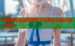 美国萝莉岛男孩揭秘平台真实功能与核心用途