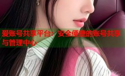 爱账号共享平台：安全便捷的账号共享与管理中心