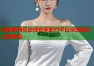 美国萝莉岛法律专家助力平台快速解决法律难题