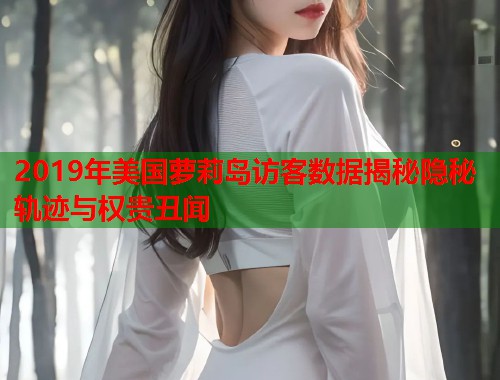 2019年美国萝莉岛访客数据揭秘隐秘轨迹与权贵丑闻  第1张