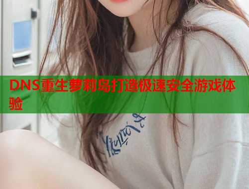 DNS重生萝莉岛打造极速安全游戏体验  第1张