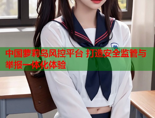 中国萝莉岛风控平台 打造安全监管与举报一体化体验  第1张