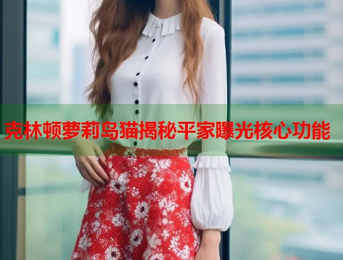 克林顿萝莉岛猫揭秘平家曝光核心功能  第1张