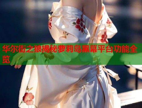 华尔街之狼揭秘萝莉岛黑幕平台功能全览  第1张