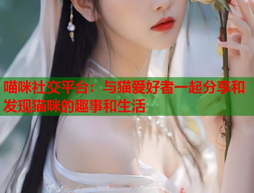 喵咪社交平台：与猫爱好者一起分享和发现猫咪的趣事和生活  第1张
