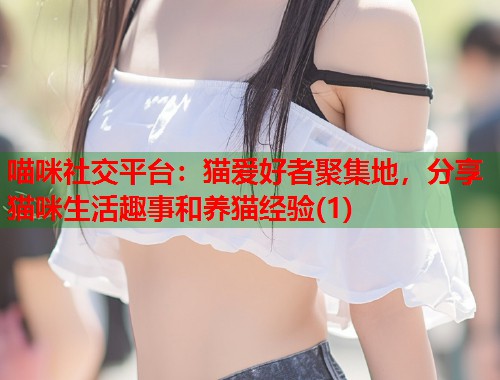 喵咪社交平台：猫爱好者聚集地，分享猫咪生活趣事和养猫经验(1)  第1张