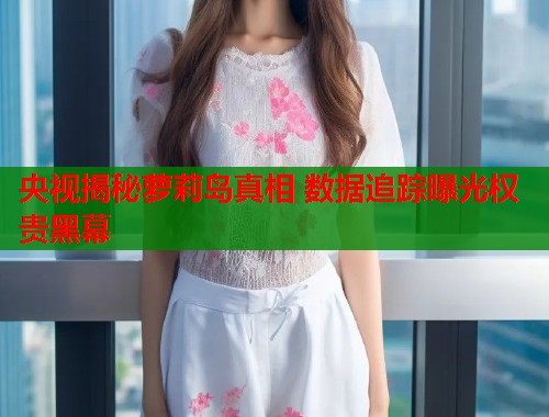 央视揭秘萝莉岛真相 数据追踪曝光权贵黑幕  第2张
