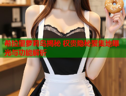 希拉里萝莉岛揭秘 权贵隐秘聚集地曝光与功能解析  第2张