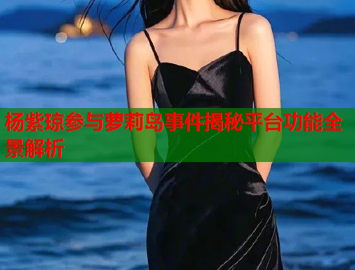 杨紫琼参与萝莉岛事件揭秘平台功能全景解析  第1张