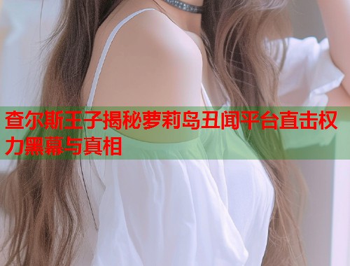 查尔斯王子揭秘萝莉岛丑闻平台直击权力黑幕与真相  第1张