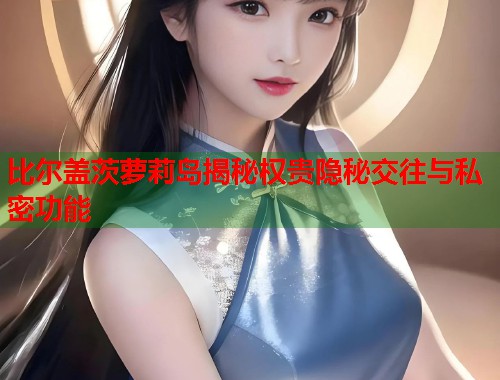 比尔盖茨萝莉岛揭秘权贵隐秘交往与私密功能  第1张