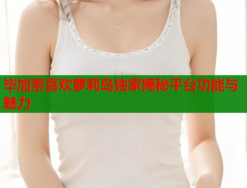 毕加索喜欢萝莉岛独家揭秘平台功能与魅力  第1张