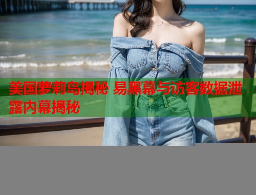 美国萝莉岛揭秘 易黑幕与访客数据泄露内幕揭秘  第1张